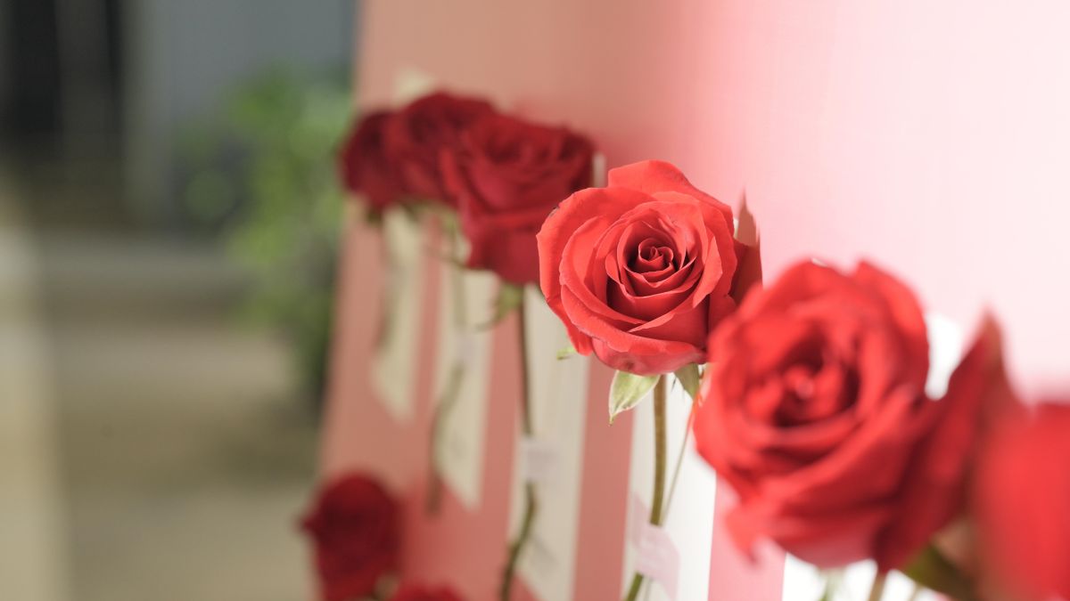 微信圖片_20240308161116.jpg 微信圖片_20240308161116.jpg